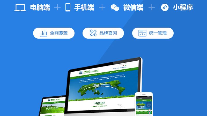 企业网站与电商网站域名选择：揭秘背后的差异与关键因素